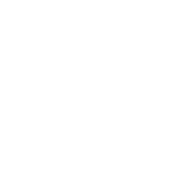 guessmysr Logo